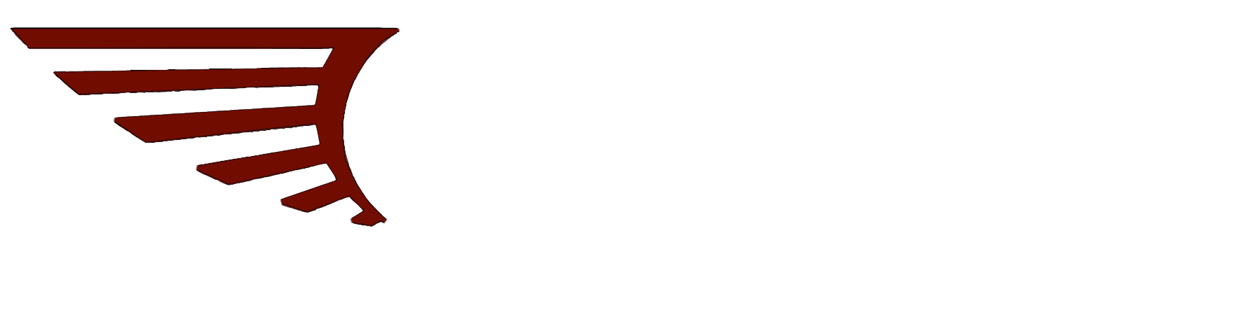 GoFly Academy